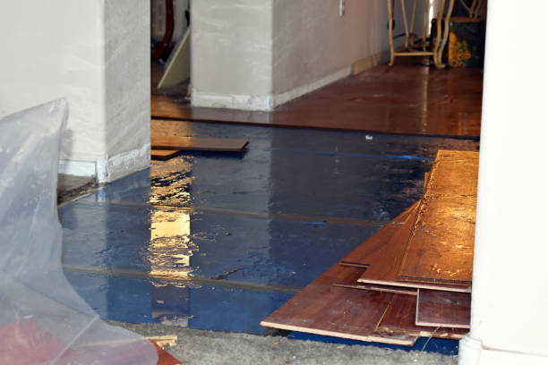 Professional Basement Flood Cleanup technician working in Florham Park, NJ